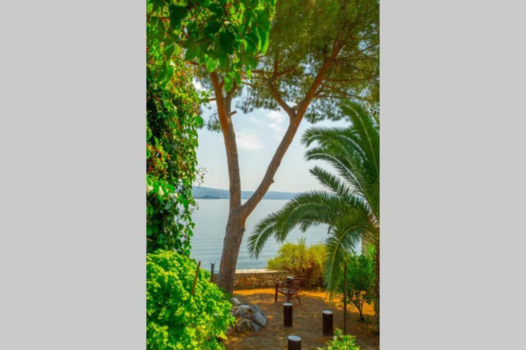 Natali'S Villa By The Sea كاتو جاتزي المظهر الخارجي الصورة