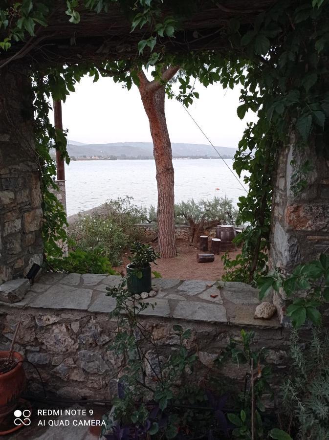 Natali'S Villa By The Sea كاتو جاتزي المظهر الخارجي الصورة